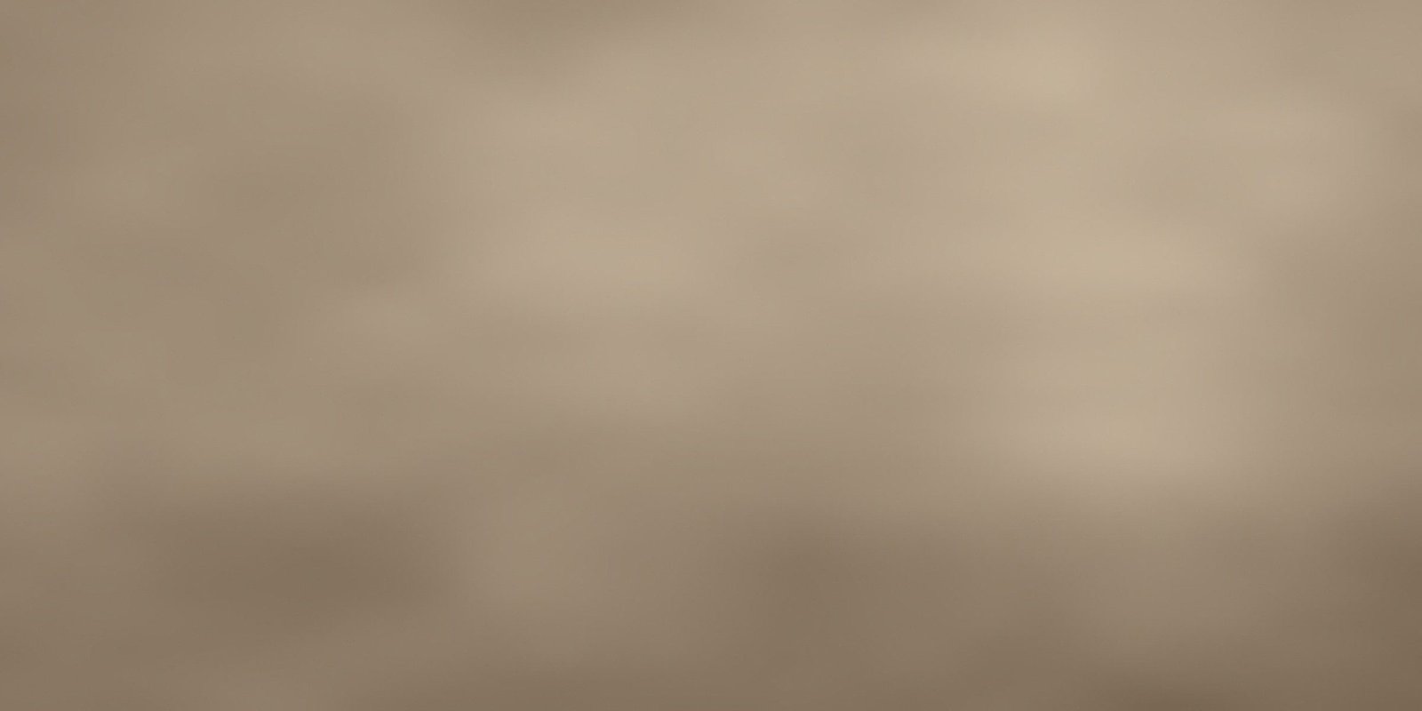 Still Life — collection banner
