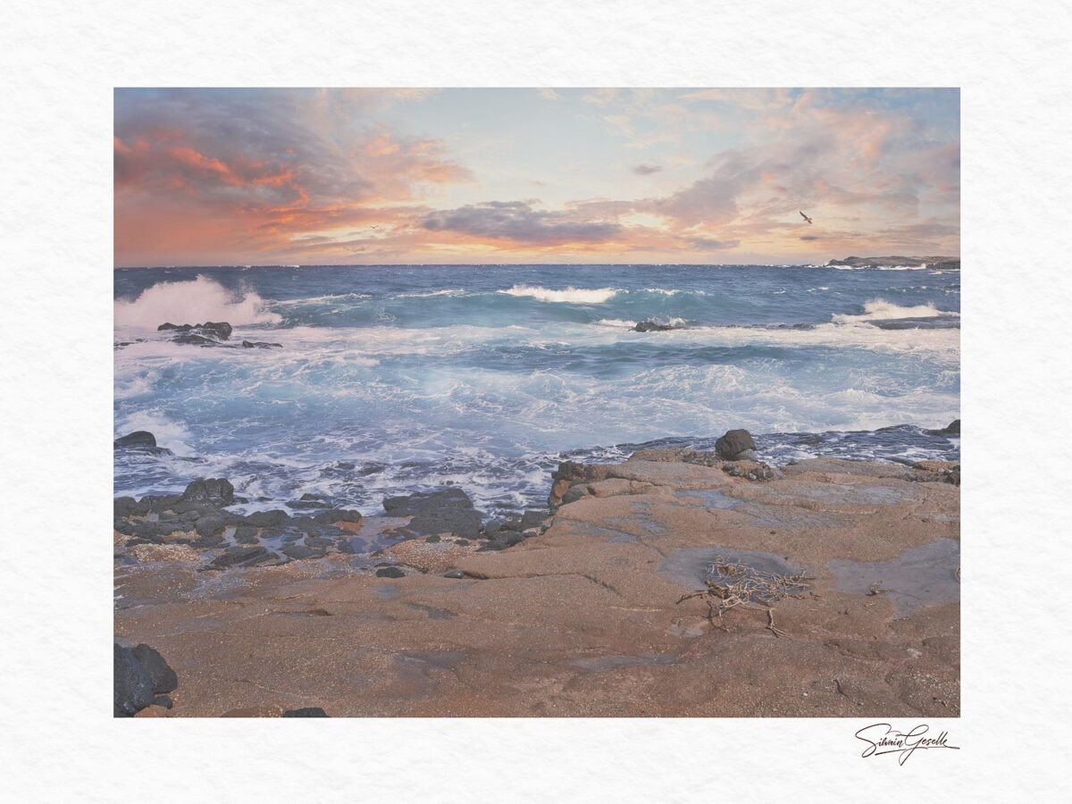 Rocky Coastline at Dawn
