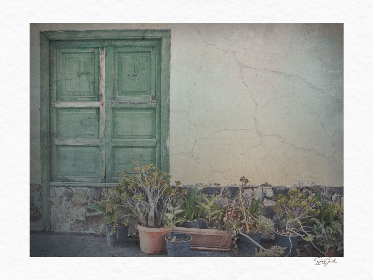 Urban Wall Art – Whispers of the Old Stone