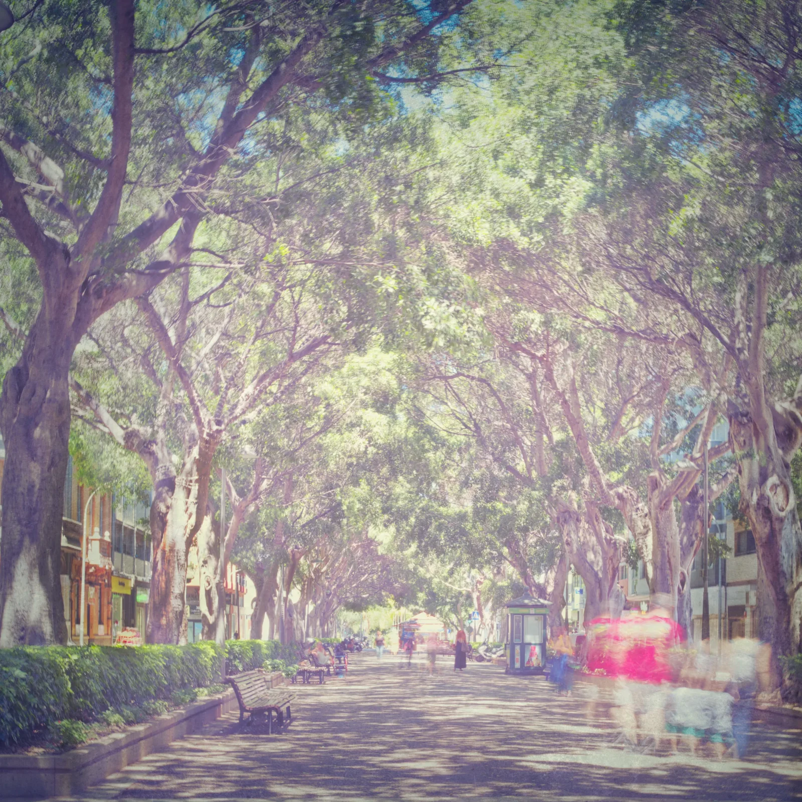 Street Photography