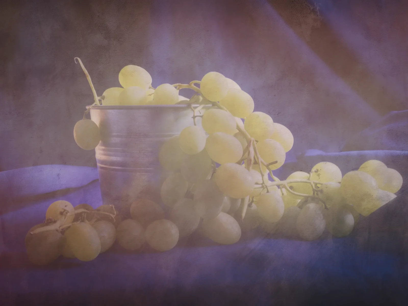 Still Life