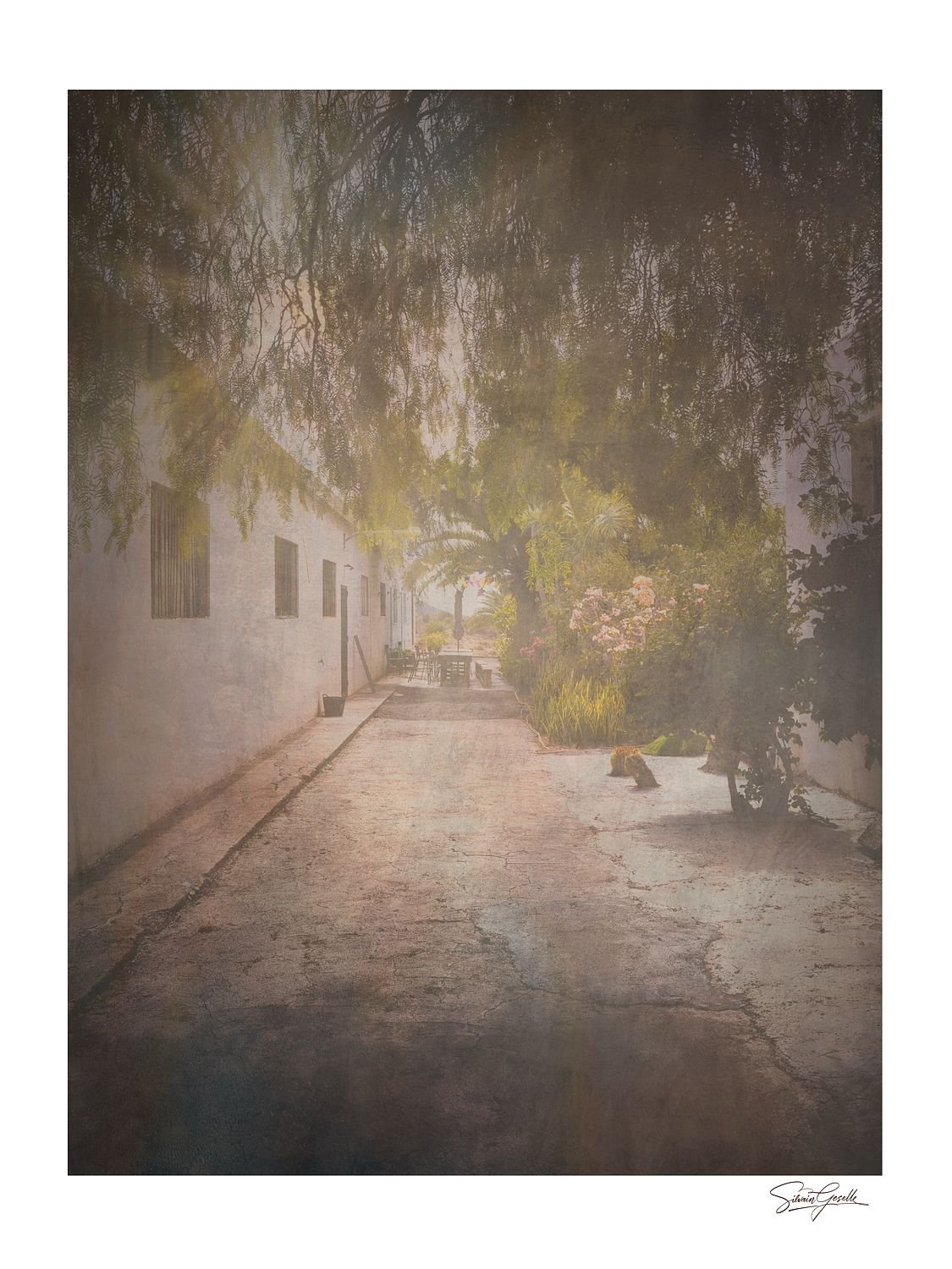 Whispers of the Sunlit Alley