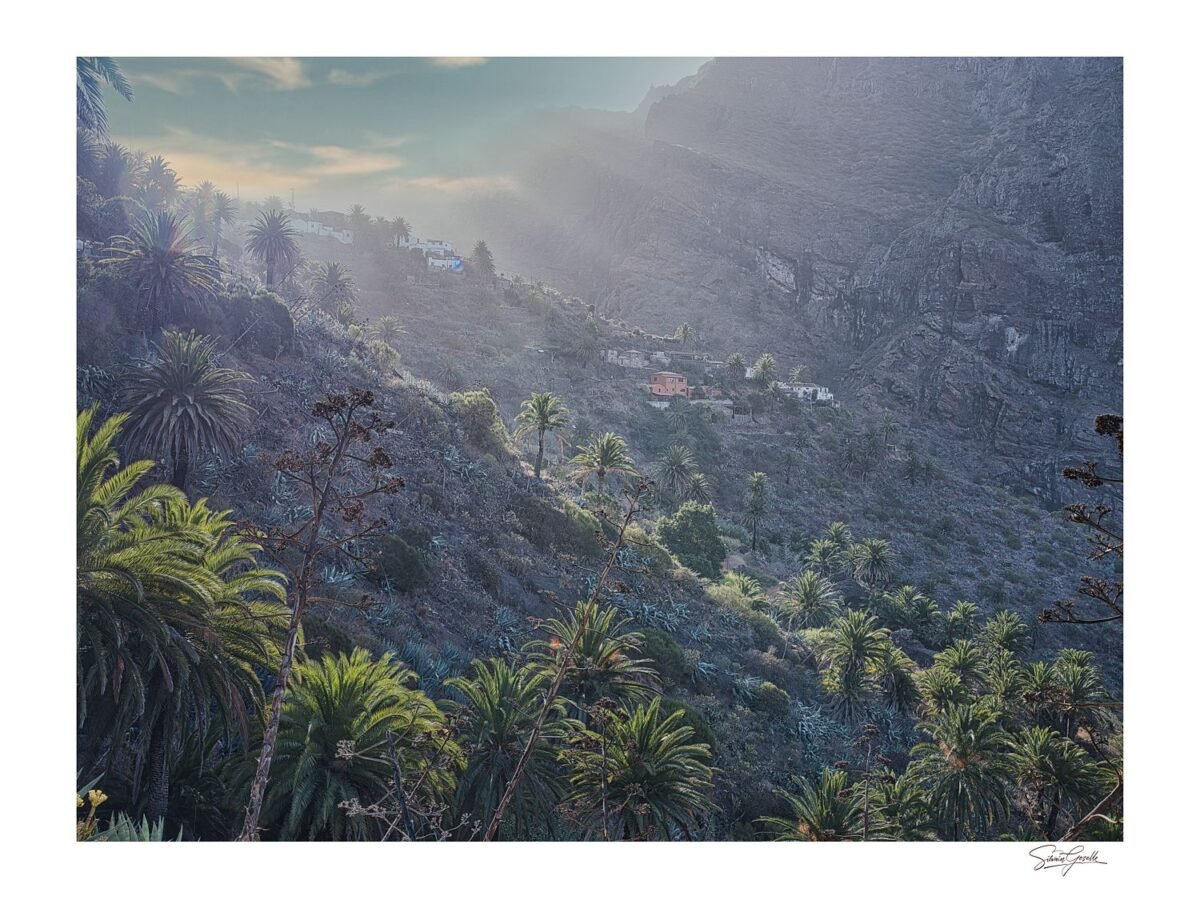 The Awakening of Masca Valley